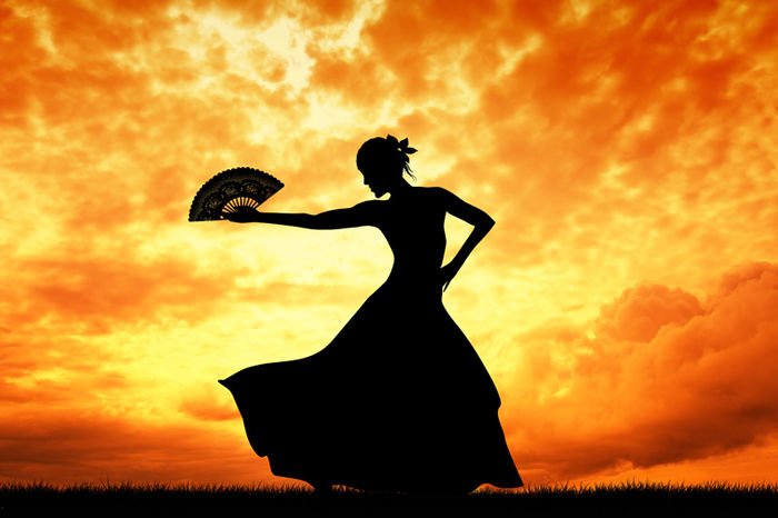 Flamenco 407 Canvas-taulu