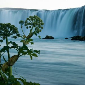 Godafoss Islanti 859 Canvas-taulu