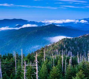 Great Smoky Mountains National Park Tennessee 2050 Canvas-taulu