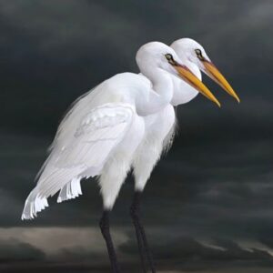 Jalohaikarat 2165 Canvas-taulu