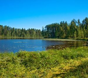 Järven Rannalla 1545 Canvas-taulu