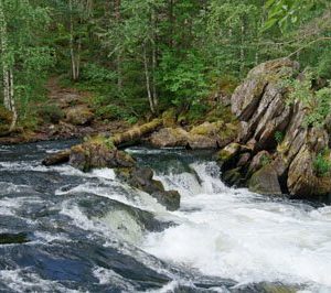 Kuusamo Jyrävä 1607 Canvas-taulu