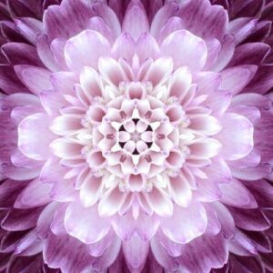 Mandala 1092 Canvas-taulu