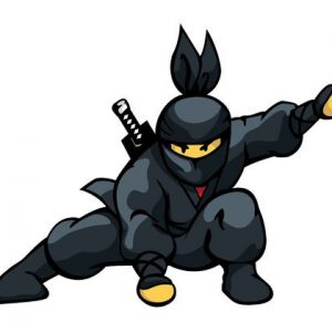 Ninja 1112 Canvas-taulu