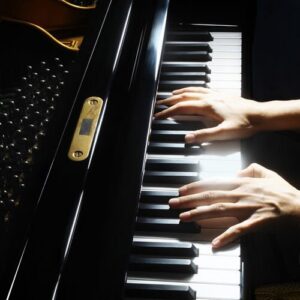 Pianisti 429 Canvas-taulu