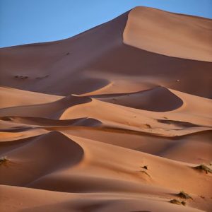 Sahara Hiekkadyyni 275 Canvas-taulu