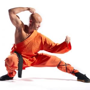 Shaolin Munkki 1025 Canvas-taulu